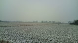 加須 雪景色 画像 写真 撮影
