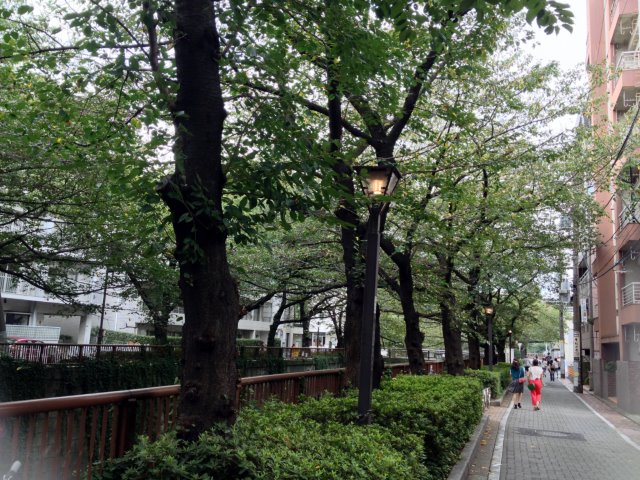 目黒川