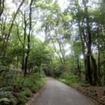 5年後に明治神宮鎮座100年