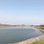 幸手市の権現堂桜堤