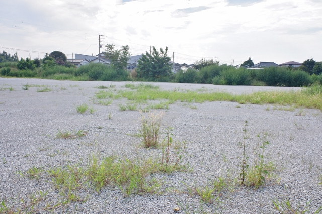 貸地 埼玉県